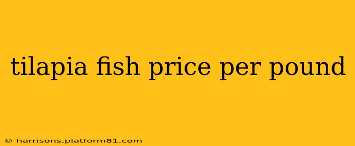 tilapia fish price per pound