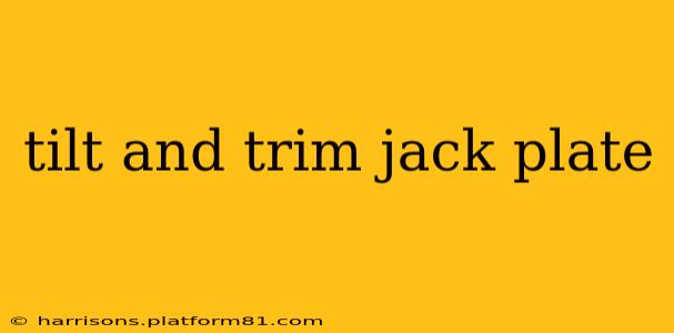 tilt and trim jack plate