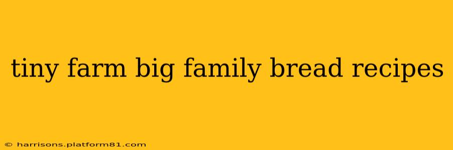 tiny farm big family bread recipes