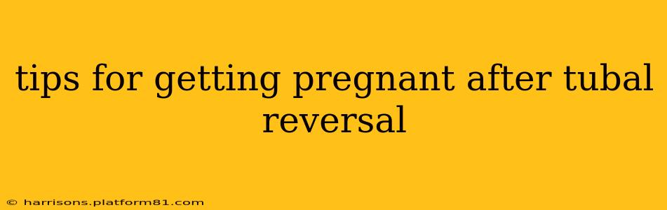 tips for getting pregnant after tubal reversal