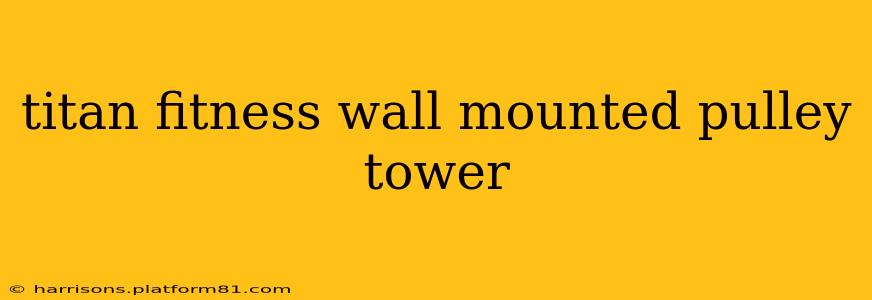 titan fitness wall mounted pulley tower