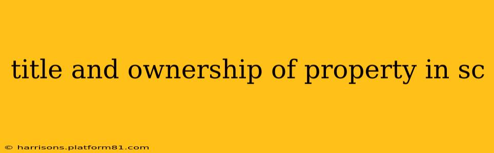 title and ownership of property in sc