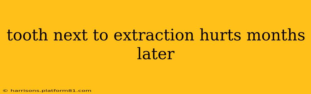 tooth next to extraction hurts months later