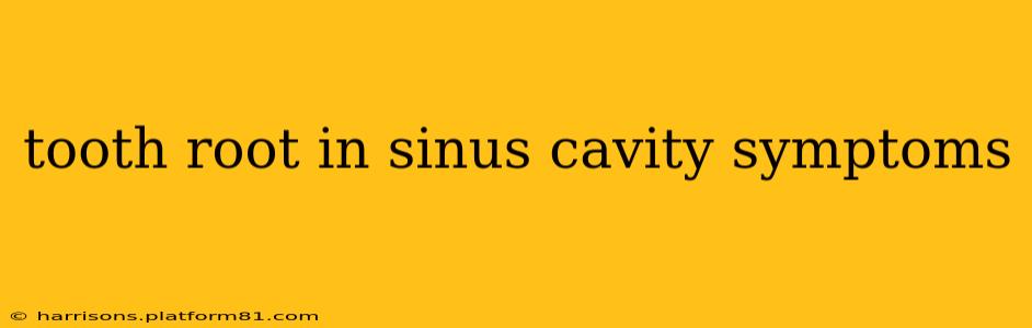 tooth root in sinus cavity symptoms