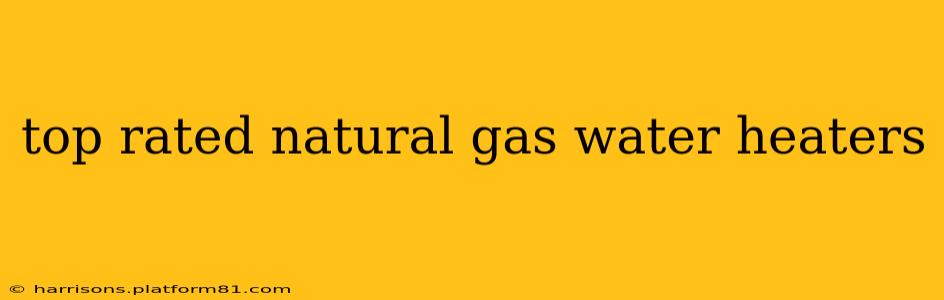 top rated natural gas water heaters