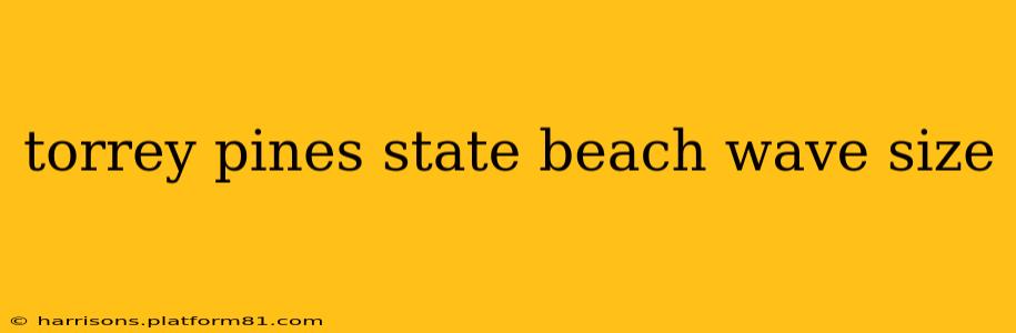 torrey pines state beach wave size