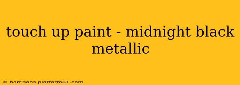 touch up paint - midnight black metallic