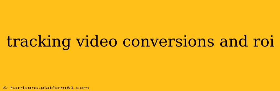 tracking video conversions and roi