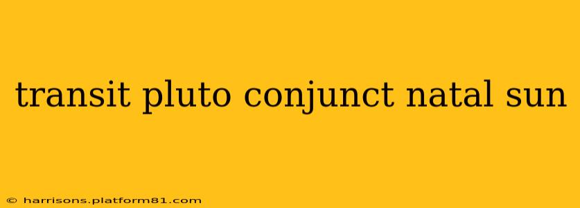 transit pluto conjunct natal sun