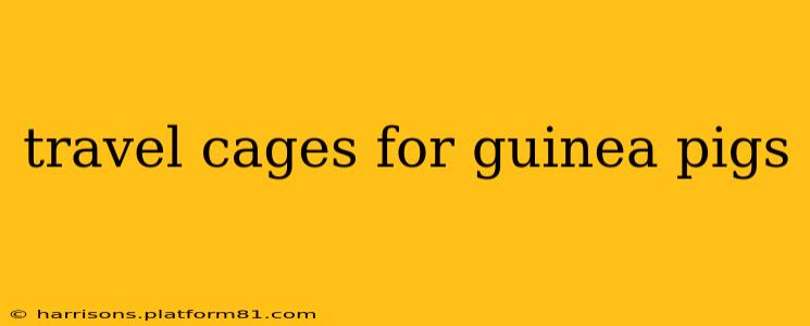 travel cages for guinea pigs