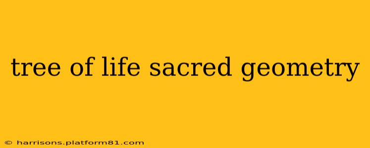 tree of life sacred geometry