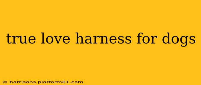 true love harness for dogs