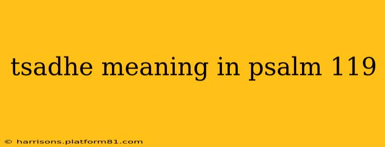 tsadhe meaning in psalm 119