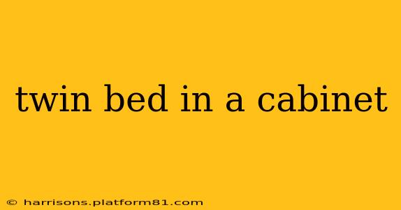 twin bed in a cabinet
