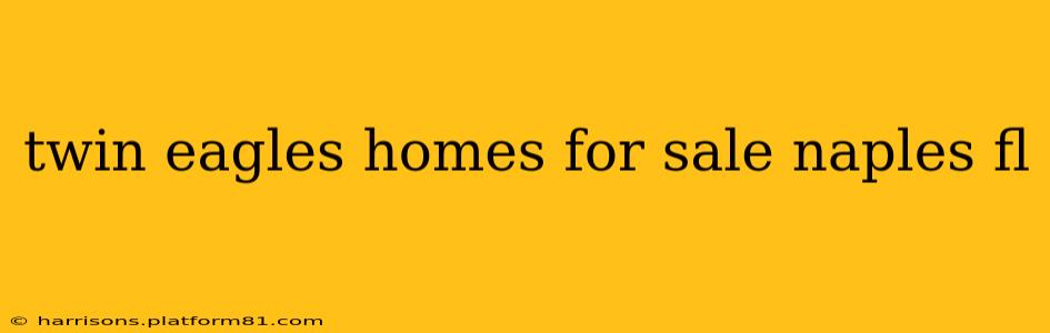 twin eagles homes for sale naples fl