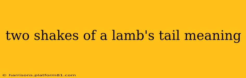 two shakes of a lamb's tail meaning