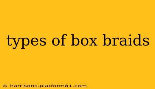 types of box braids