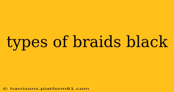 types of braids black