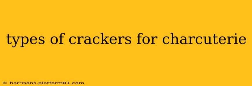 types of crackers for charcuterie