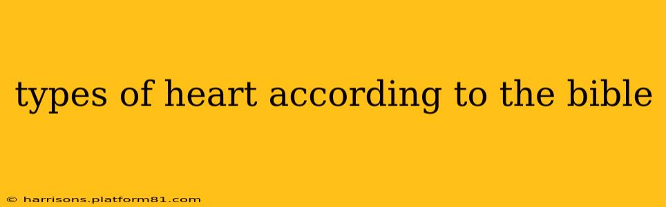 types of heart according to the bible