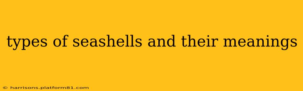 types of seashells and their meanings