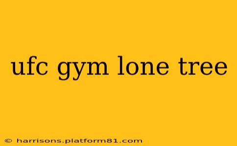 ufc gym lone tree