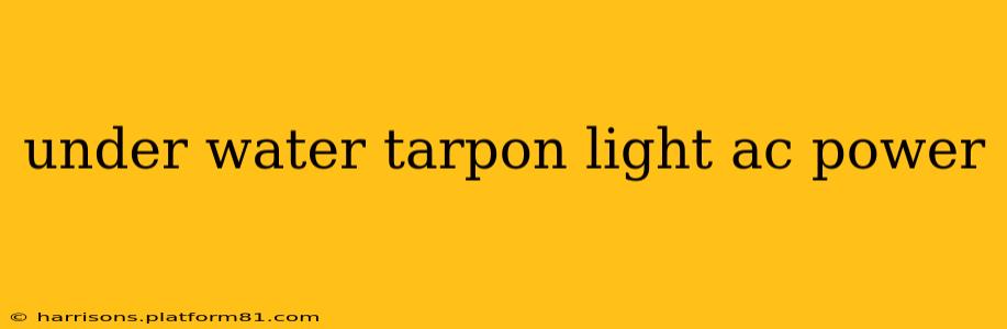 under water tarpon light ac power