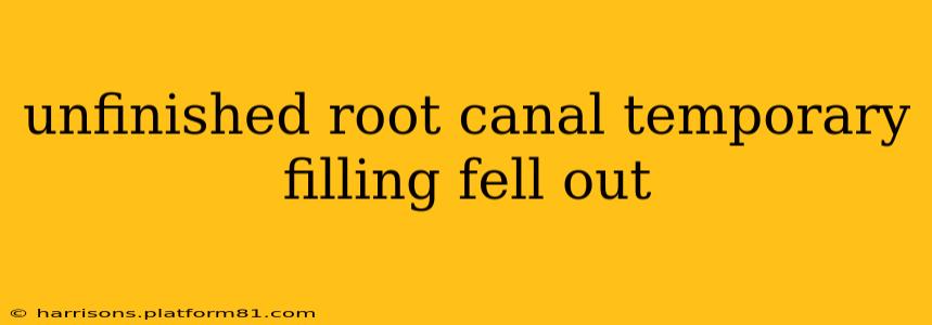unfinished root canal temporary filling fell out