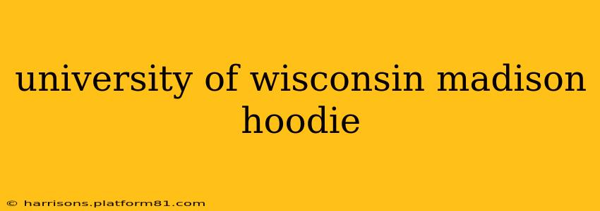 university of wisconsin madison hoodie