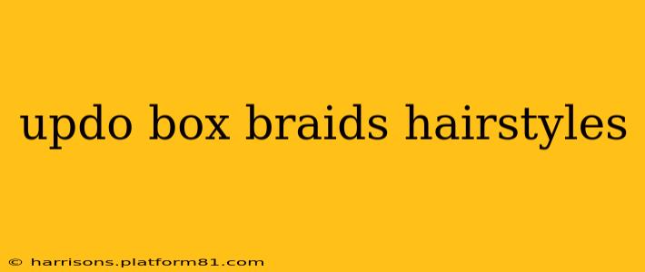 updo box braids hairstyles