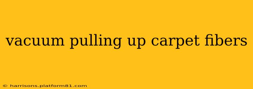 vacuum pulling up carpet fibers