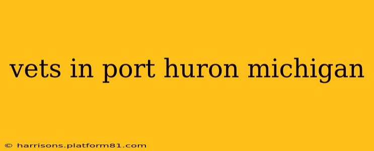 vets in port huron michigan