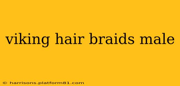 viking hair braids male