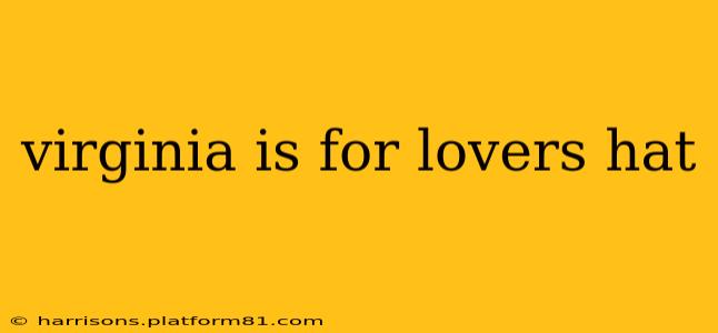 virginia is for lovers hat