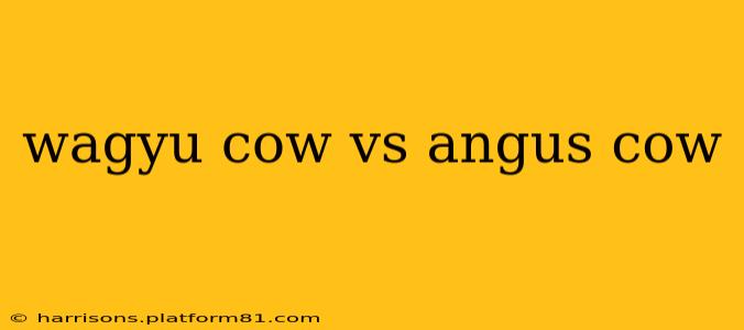 wagyu cow vs angus cow