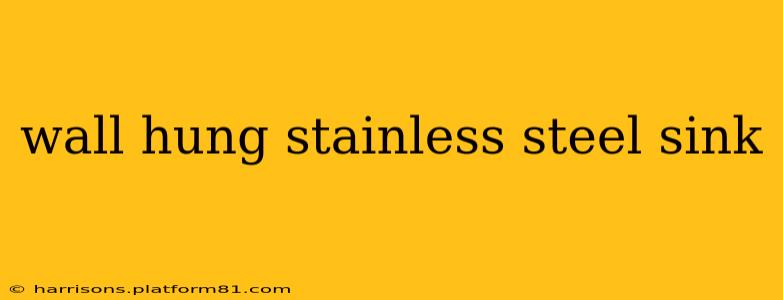 wall hung stainless steel sink