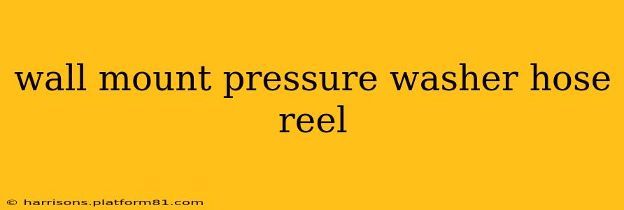 wall mount pressure washer hose reel