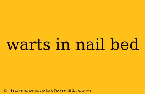 warts in nail bed