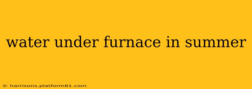 water under furnace in summer