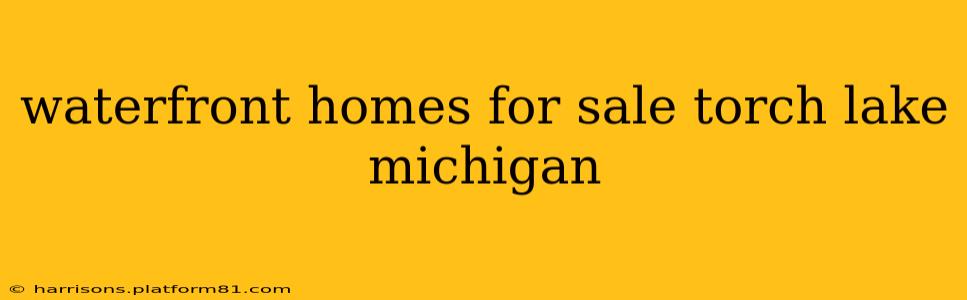 waterfront homes for sale torch lake michigan