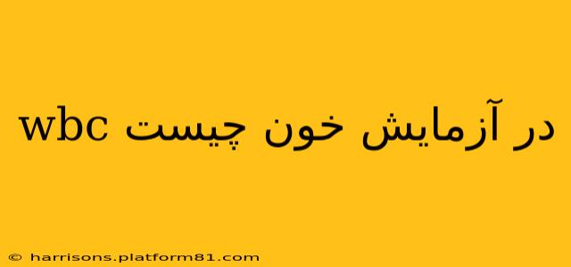 wbc در آزمایش خون چیست
