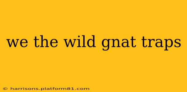 we the wild gnat traps