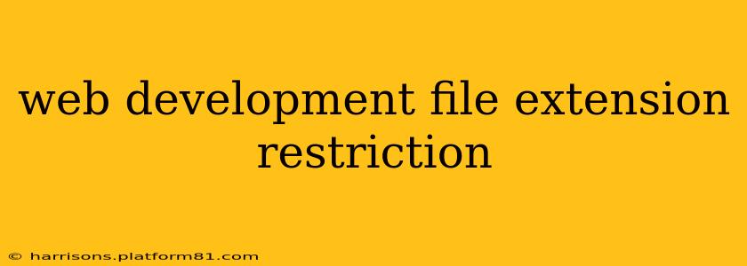 web development file extension restriction
