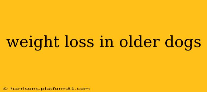 weight loss in older dogs