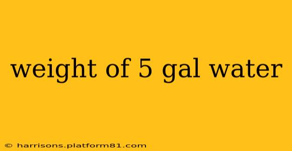 weight of 5 gal water