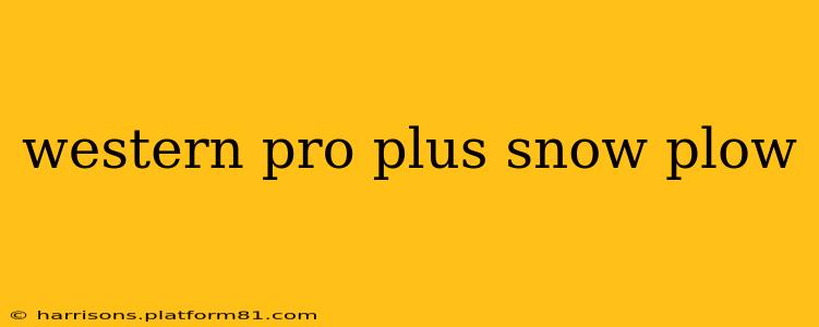 western pro plus snow plow