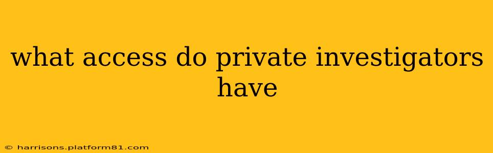 what access do private investigators have