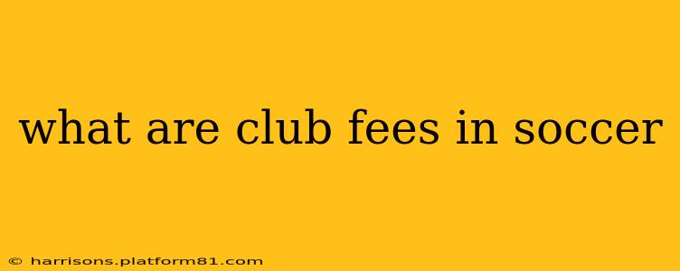 what are club fees in soccer