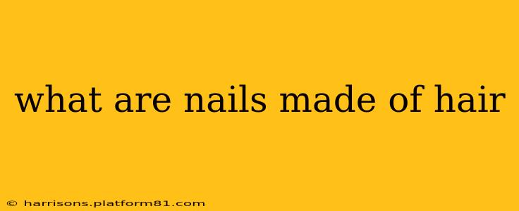 what are nails made of hair
