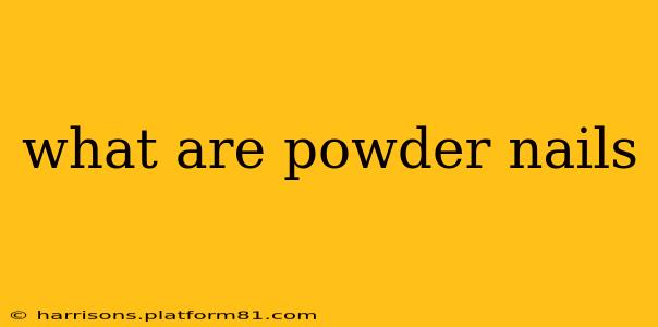 what are powder nails